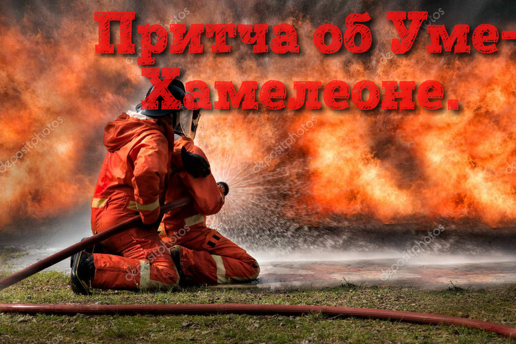 Коллаж автора. 