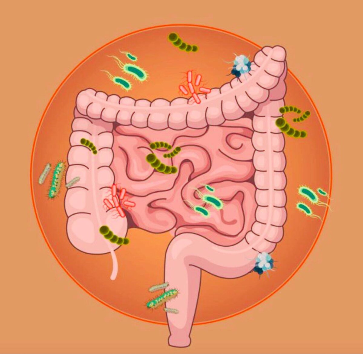 Смотрите полную версию беседы с Ириной Анатольевной Горбачевой на NIKOLAEV Podcast
