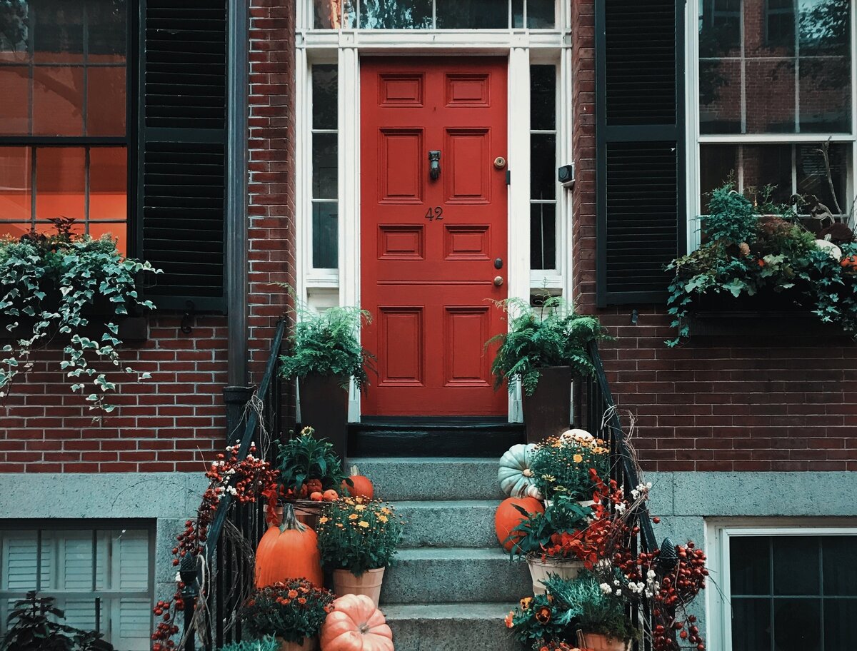 Источник: сайт www.pexels.com