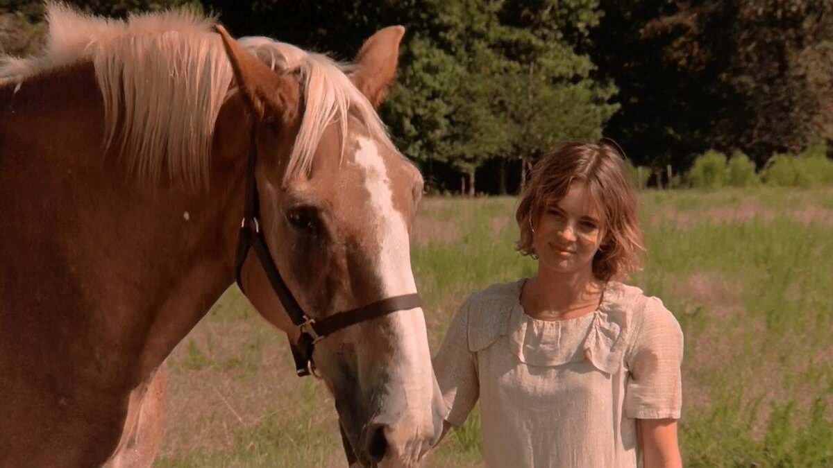 Сериалы про лошадей. Восточный ветер (2013) ostwind. Дикое сердце про лошадей. Восточный ветер конь оствинд. Кадры с лошадьми.