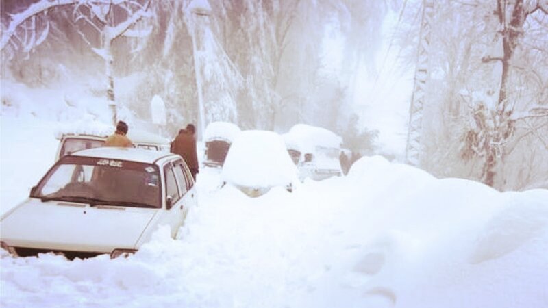 Транспортные средства застряли на узких дорогах недалеко от города Мурри на вершине холма в пятницу утром.
