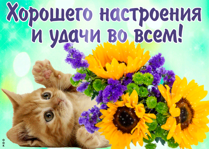 Спасибо за прочтение! Моя группа вк https://vk.com/my_garden0, или у меня в дзен-канале. Подписывайтесь! Будем общаться и делиться опытом! 