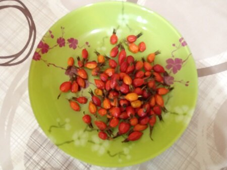 Фотография из личного архива автора