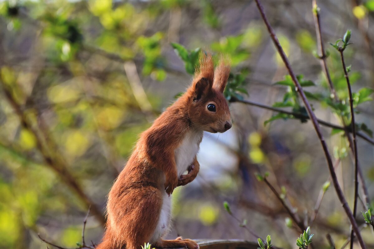 Как выжить пенсионеру