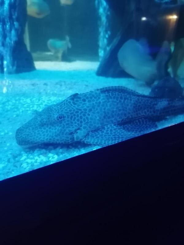 Фото из собственной галереи