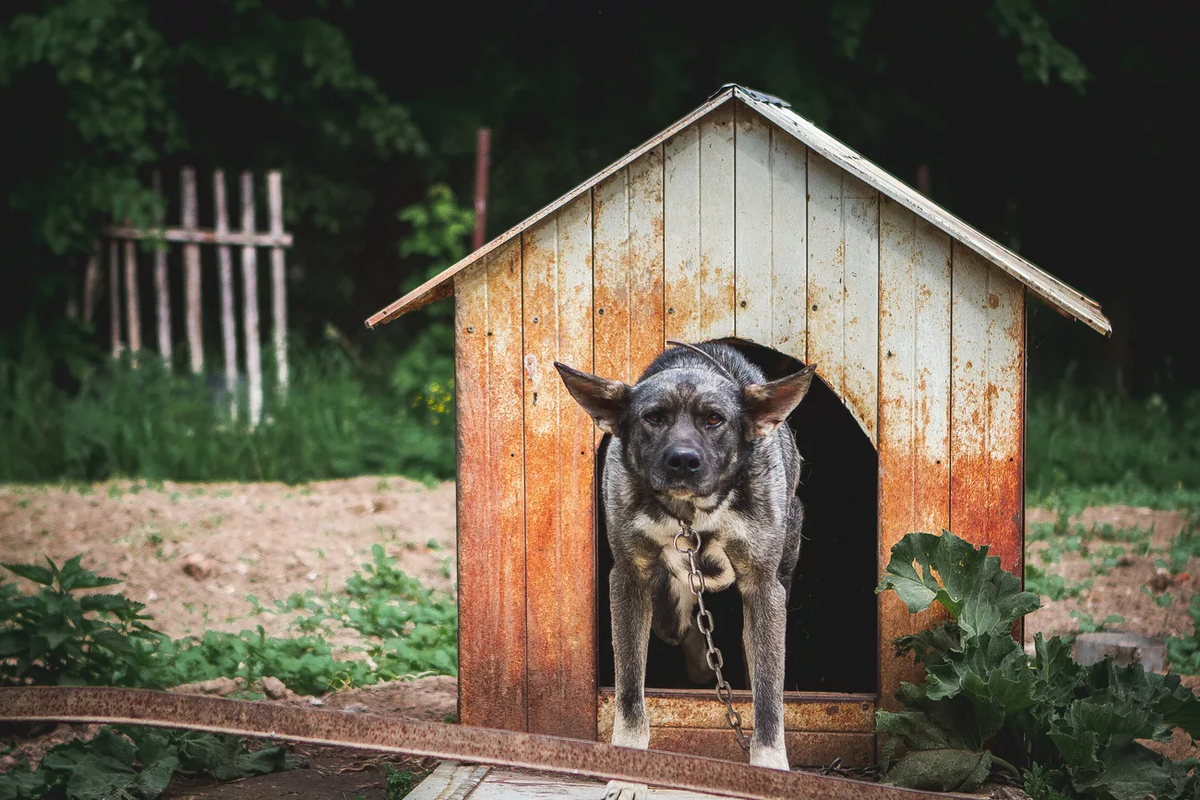 Иллюстрация из Яндекс картинок