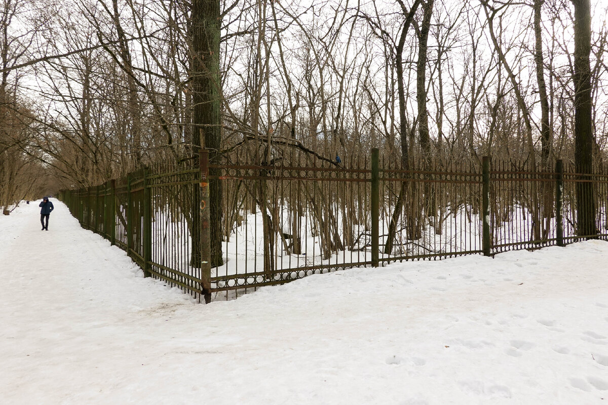 Пешеходная прогулка по северо-востоку Москвы. Небоскребы, недостроенные ТЦ,  военная техника и многое другое | Самый главный путешественник | Дзен