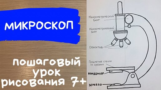 Оптический микроскоп — Википедия