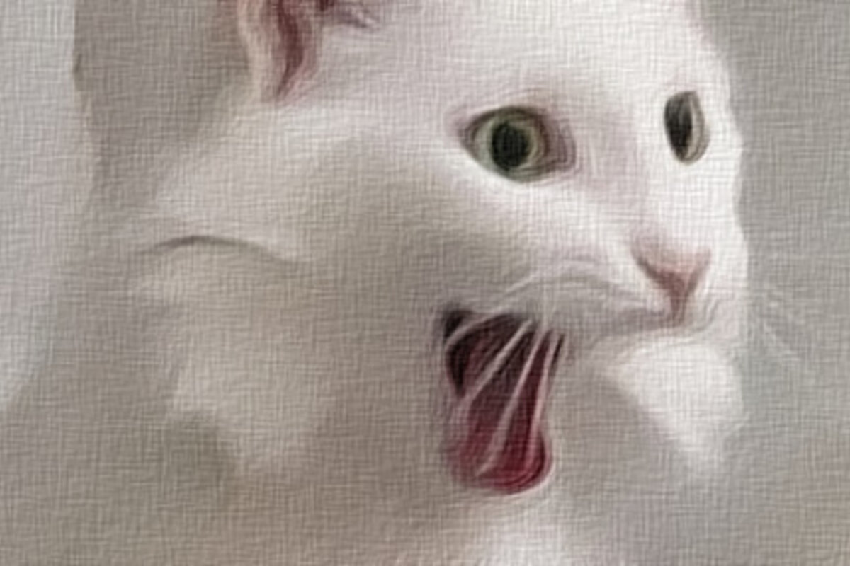 Встреча в парке