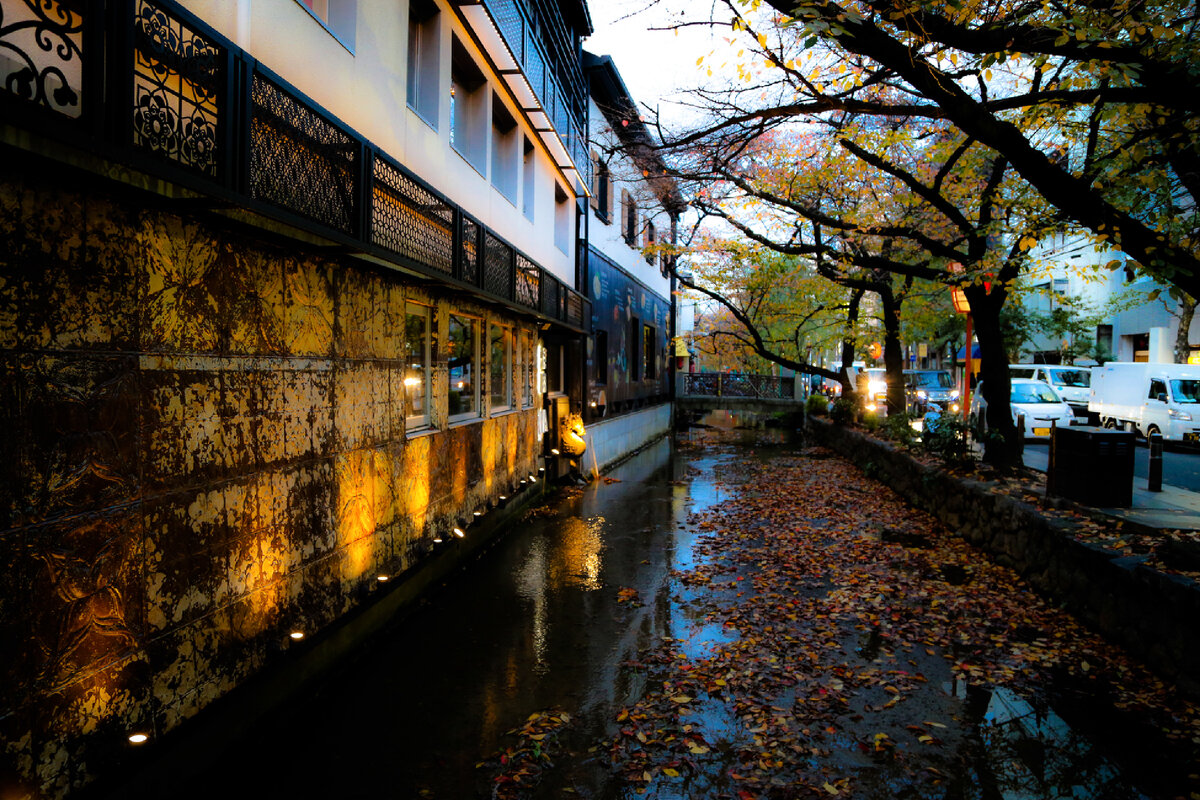 Все фото автора (фото из двух поездок - весной и осенью)