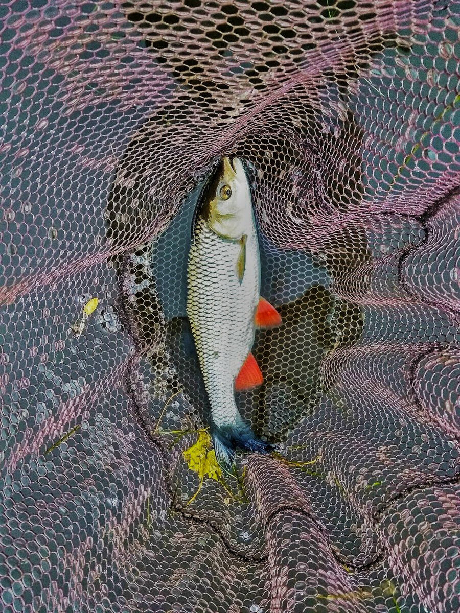 Мне нравится ловить на вертушки!