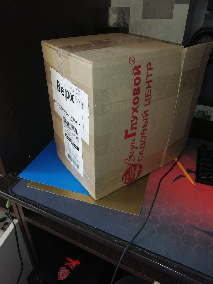 Вот в такой коробке пришел заказ.