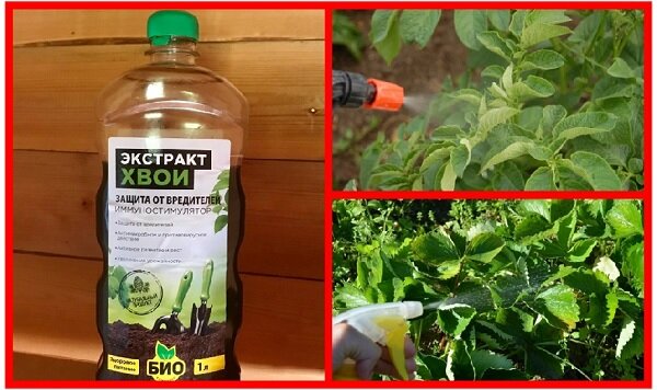 Вот так выглядит бутылочка со средством