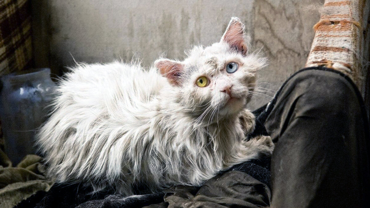 источник фото: funart.pro