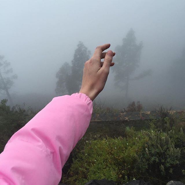 Источник: Яндекс фото