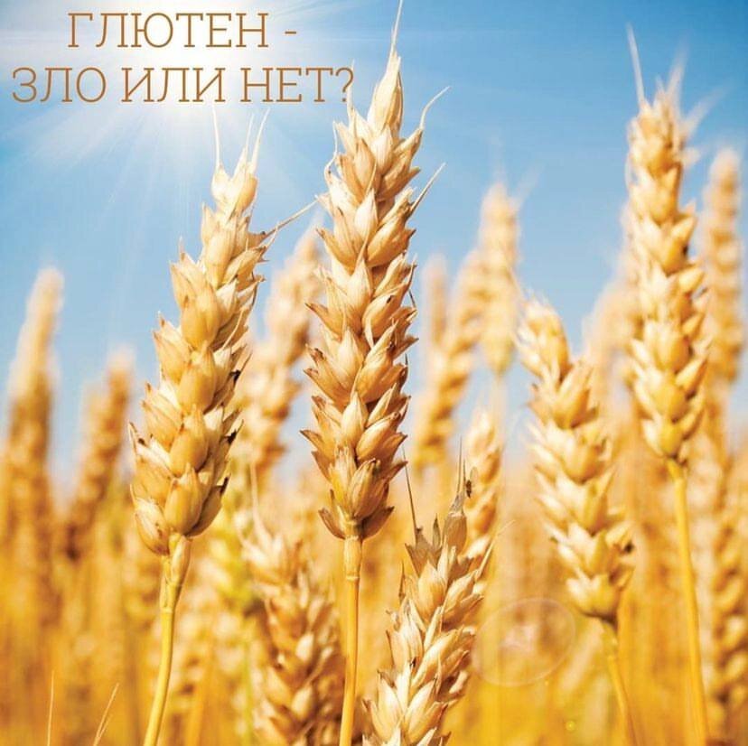 💡Глютен –  это пшеничной белок, от латинского «клей», «клейковина».  Глютен содержится во всех крупах, производных пшеницы: булгуре, кус-кусе, манной крупе, полбе, а также в ржи и ячмене.