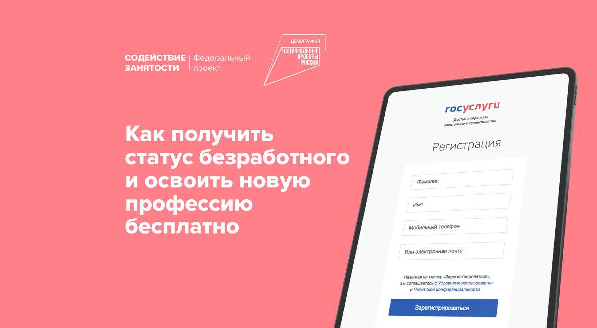 Инструкция: как получить статус безработного и освоить новую профессию  бесплатно | Федеральный проект «Содействие занятости» | Дзен