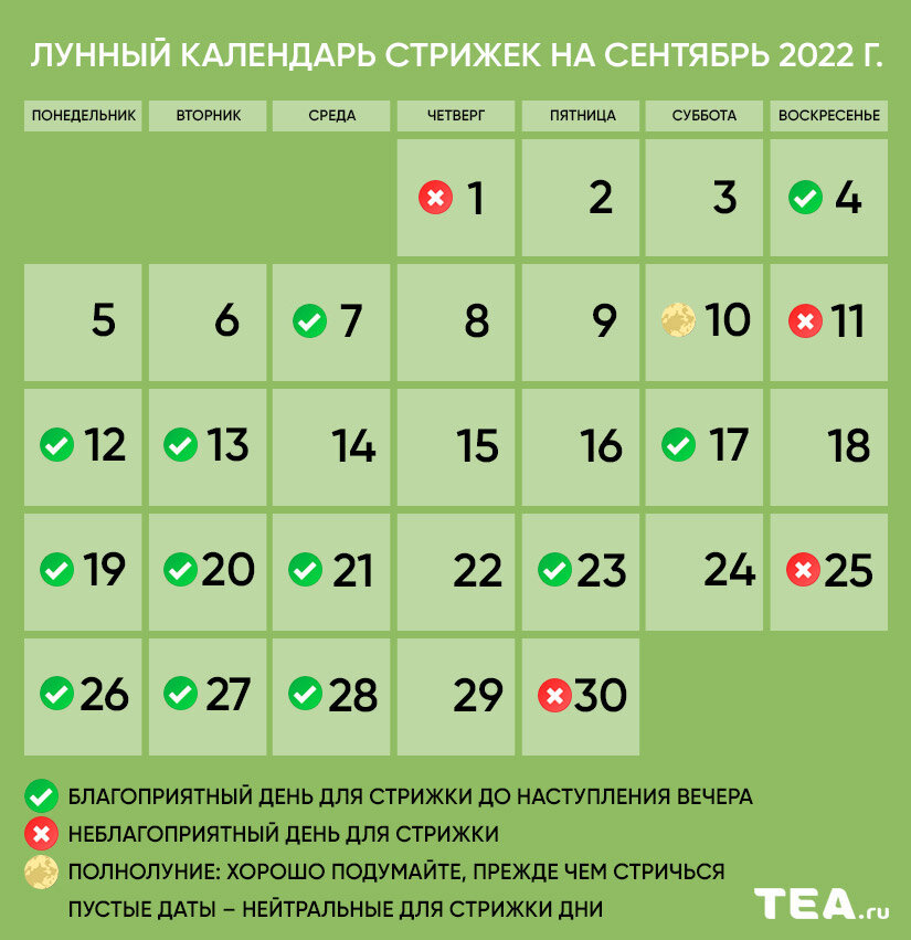 Календарь стрижек 2023г