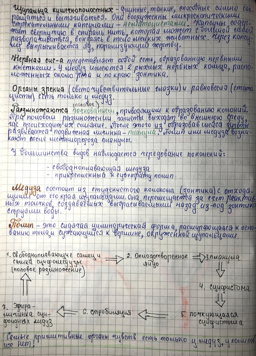 Секреты блестящей подготовки к ОГЭ/ЕГЭ по БИОЛОГИИ 2023 от легендарного  репетитора. Зоология (1 часть). Присоединяйся! | Репетитор-профессионал  Богунова В.Г. | Дзен