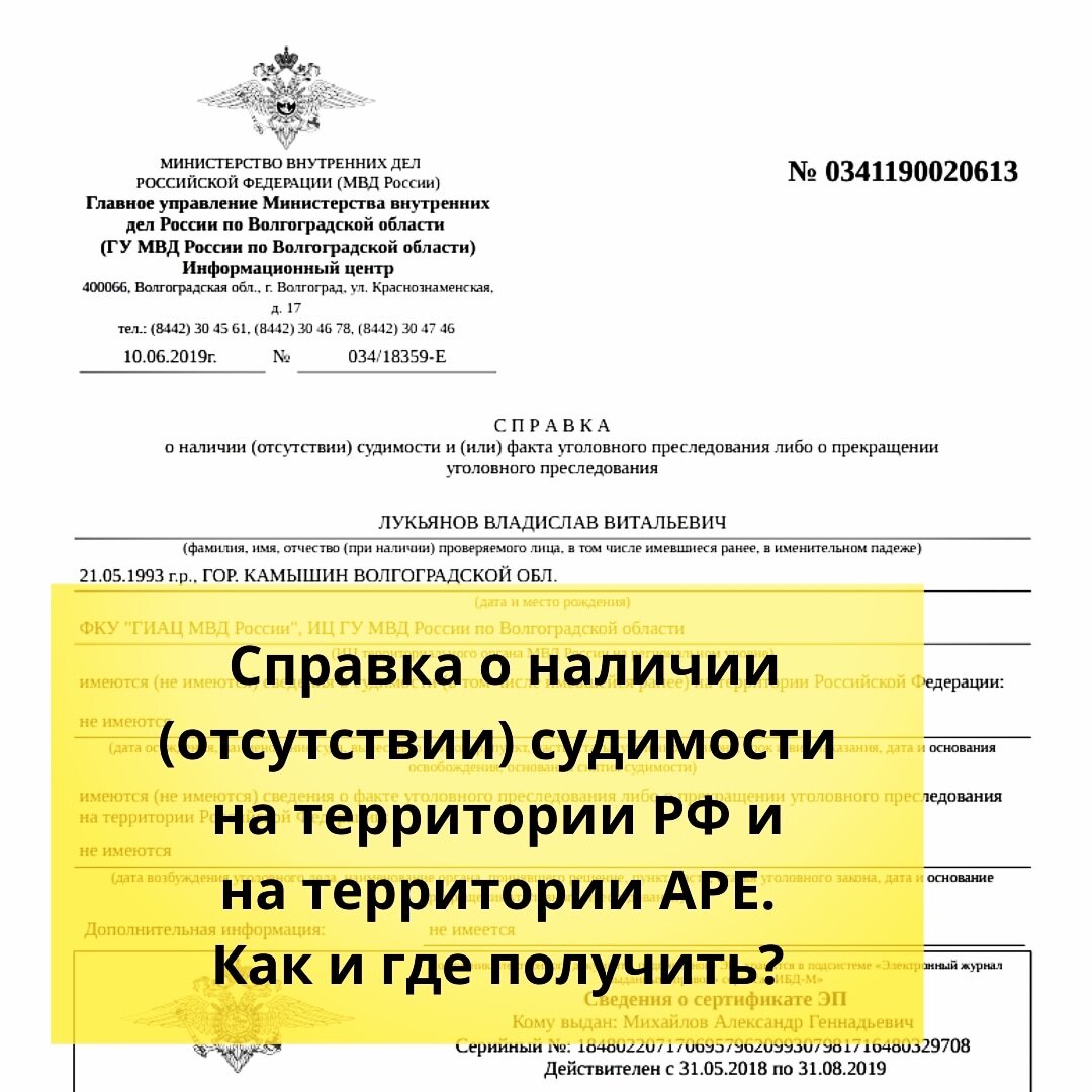 ⚠️Справка о наличии (отсутствии) судимости на территории РФ и на территории  АРЕ. Как и где получить? | Ольга о Египте 🇪🇬 и не только | Дзен