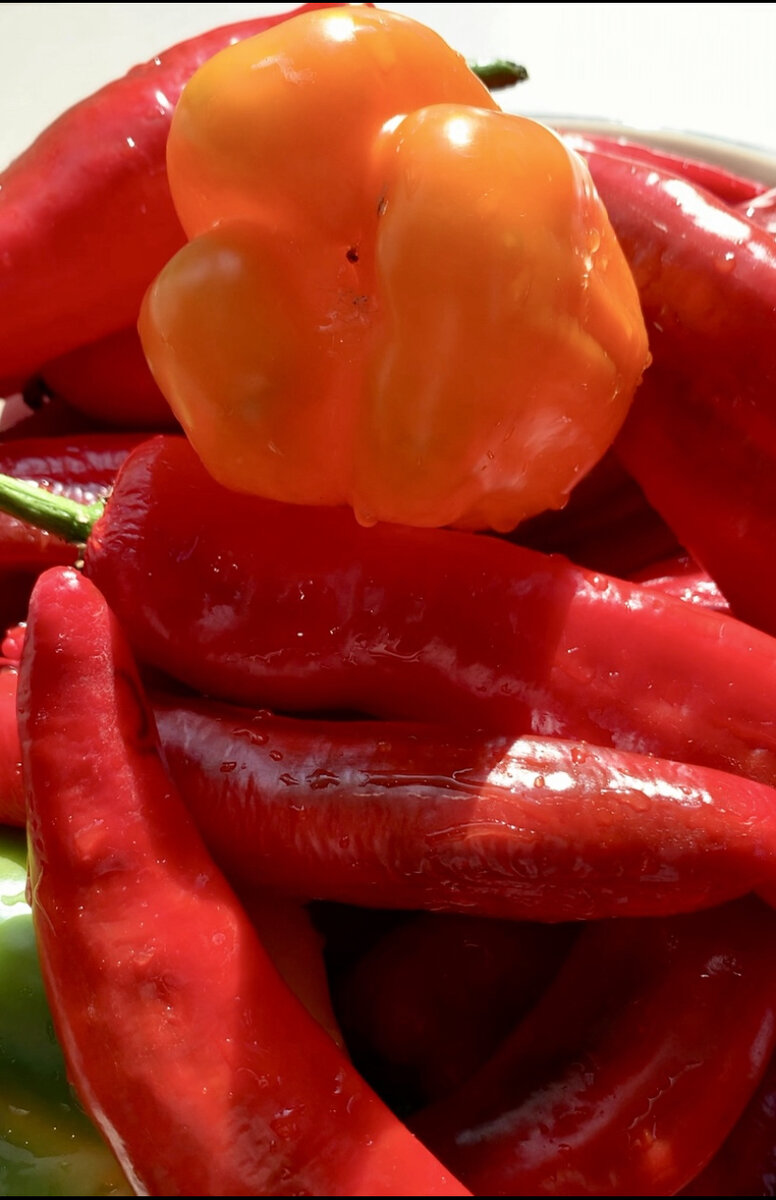 Фото автора. Перцы выбираем красные и спелые.  Использовала несколько перчиков жёлтого цвета для красоты.