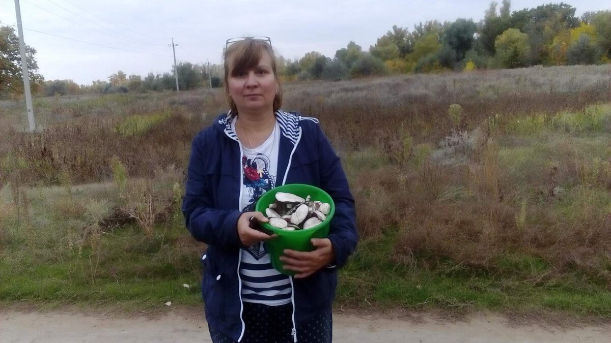собираю шампиньоны