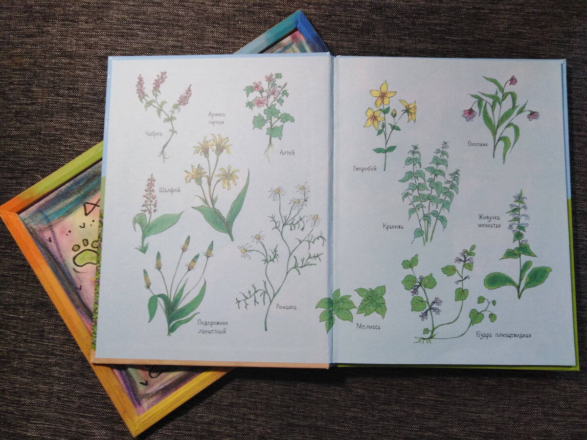 Форзац украшен ботаническими иллюстрациями