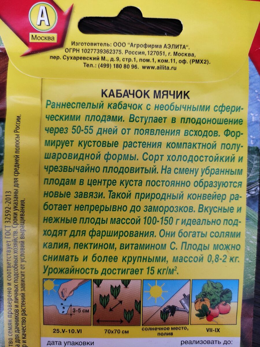 Кабачок МЯЧИК - реальный отзыв | Станислав Бакал - Фермер выходного дня |  Дзен