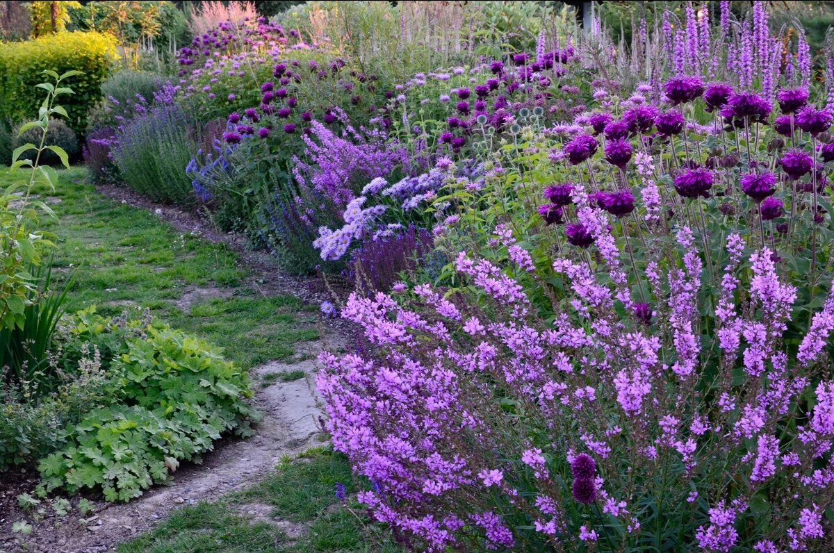 Сад Татьяны