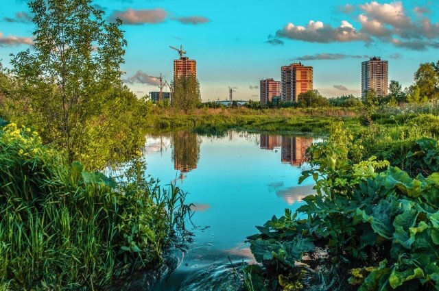    Какая погода будет 1 сентября в Туле?