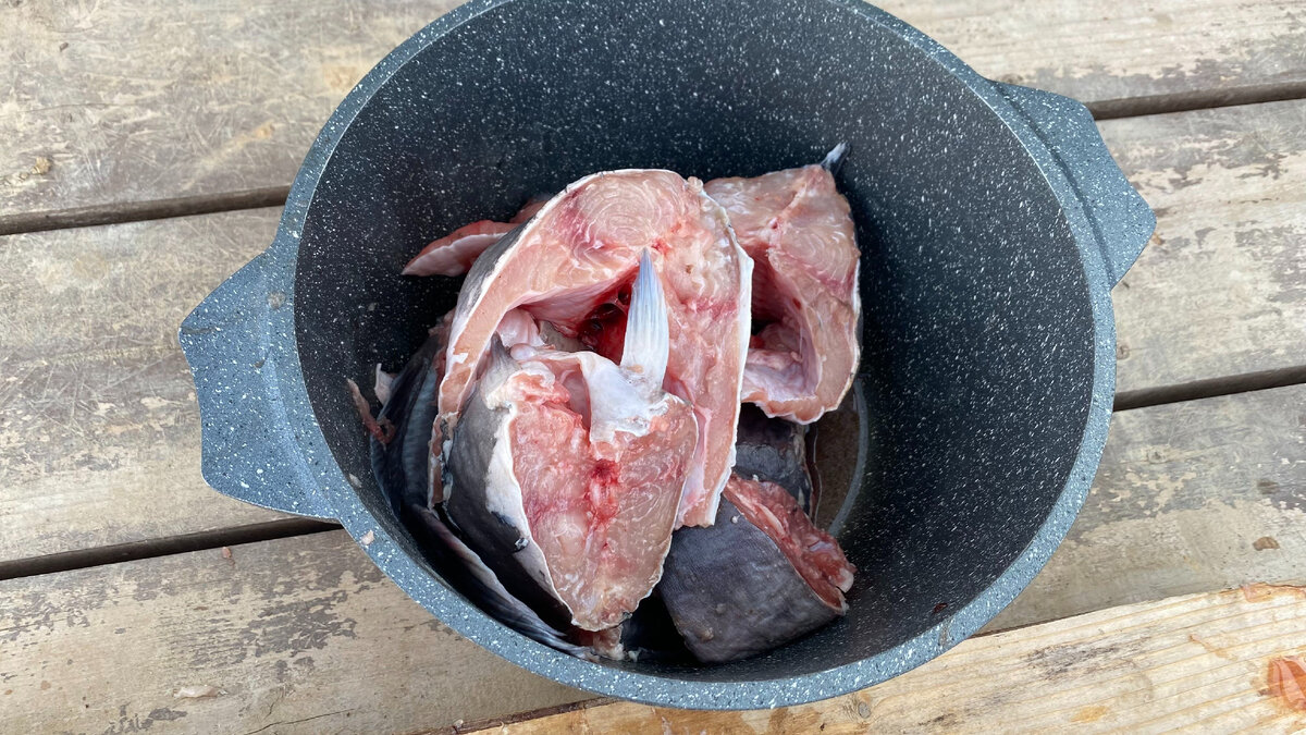 Сом запеченный в духовке. Сом на сковороде. Что можно сделать из сома. Приготовление сома. Что можно сделать из сома.