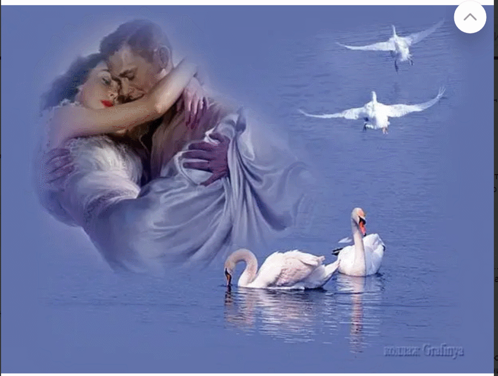 Любовь и лебеди. Лебеди люди любовь. Лебеди влюбленная пара. Лебедь счастья. Ангелы счастья и любви