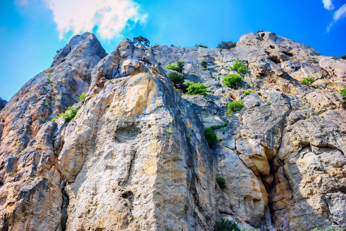 Фото (с) сайт "Крым удивляет" // Олег Дьяков и Зера Дьякова