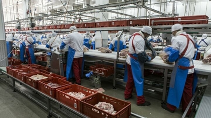 ФОТО: NIKOLAY GYNGAZOV/GLOBALLOOKPRESS