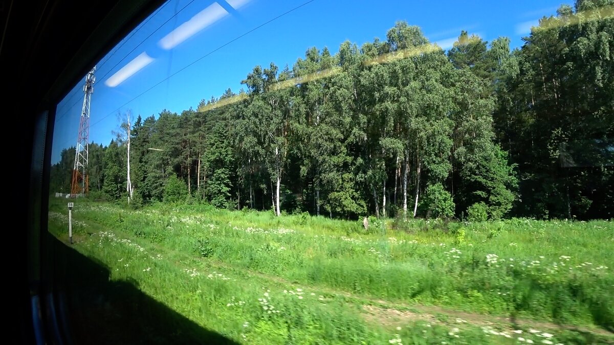 Электрички на запад - всегда приятные виды из окна, дорога в Звенигород, КругоСветка с Третьяковой 