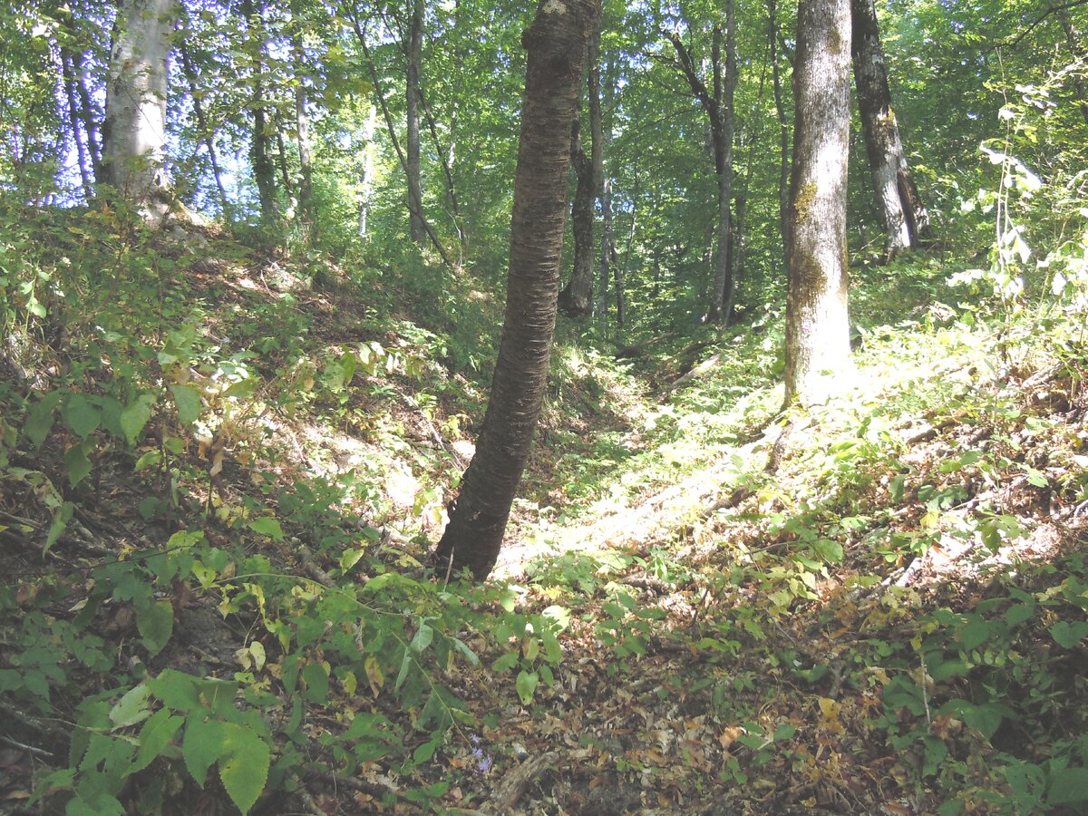 3. Ложбина с западной стороны