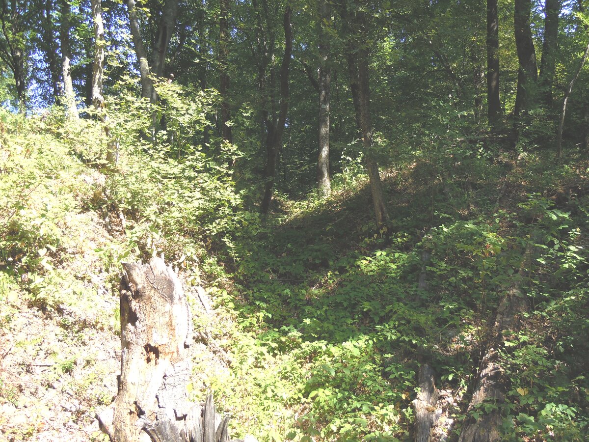 4. Отступая по длинной ложбине дальше к западу