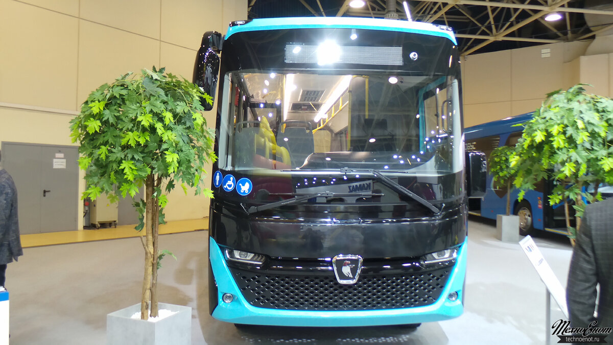 Взгляд весьма хищный