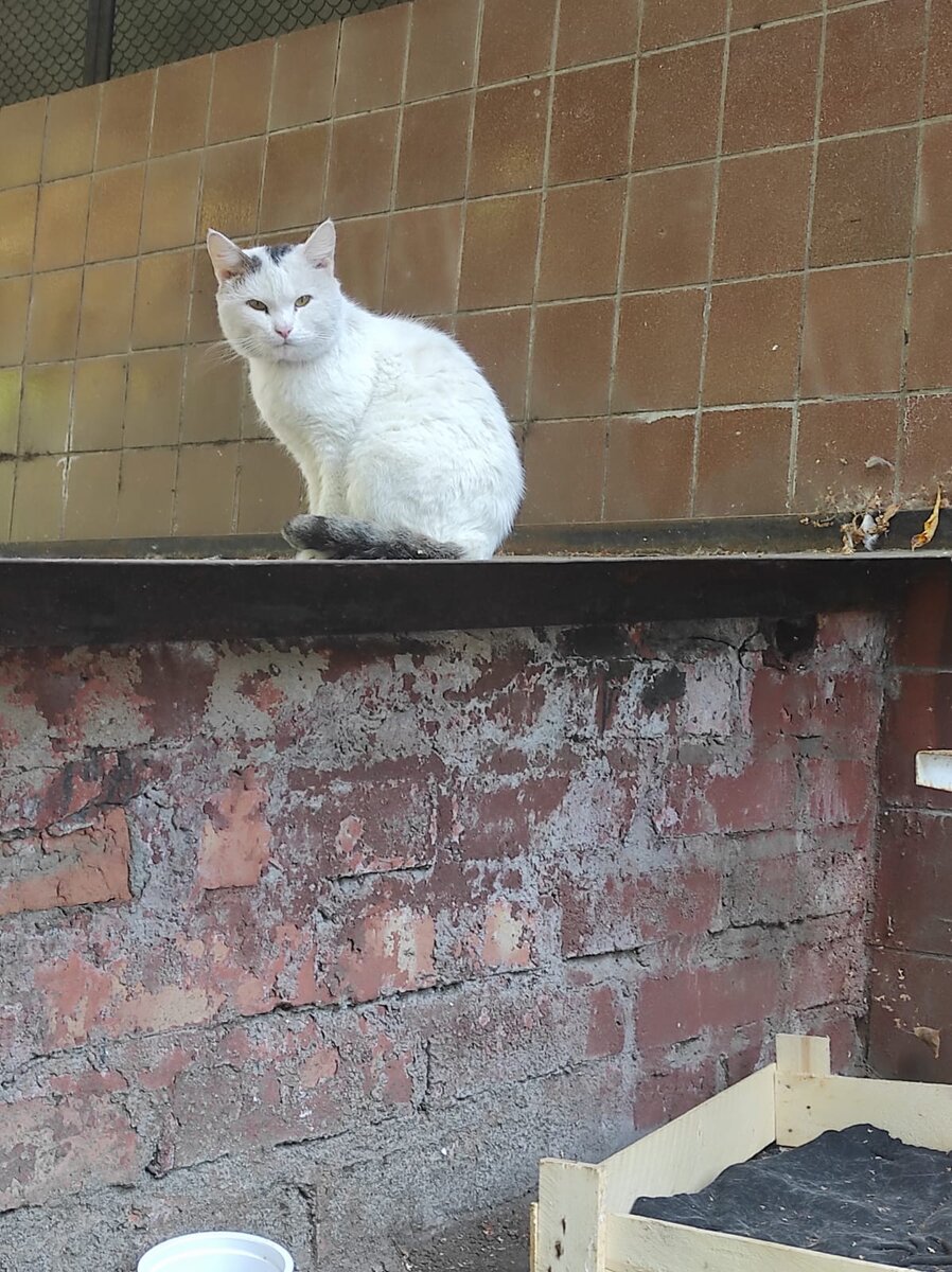 Очень сначала мы ему не понравились