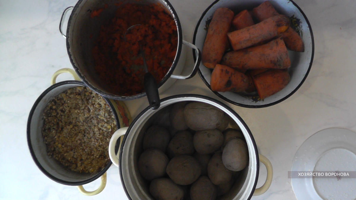 Этим кормим кур. Ингредиенты для мешанки