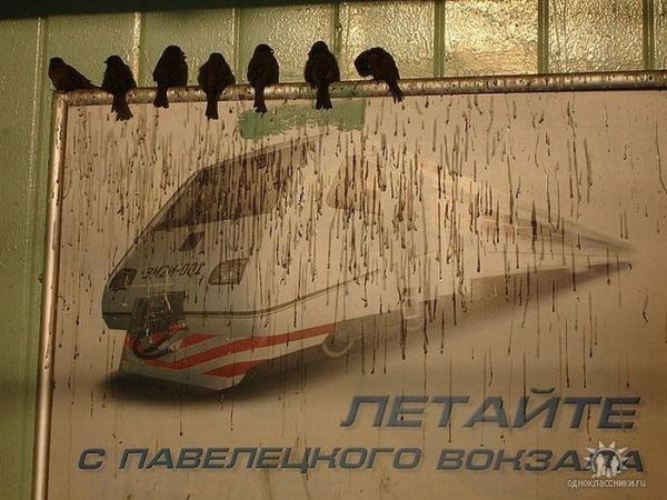 2. Птички как бы намекают о качестве ЭМ2И, планировавшихся в качестве аэроэкспрессов