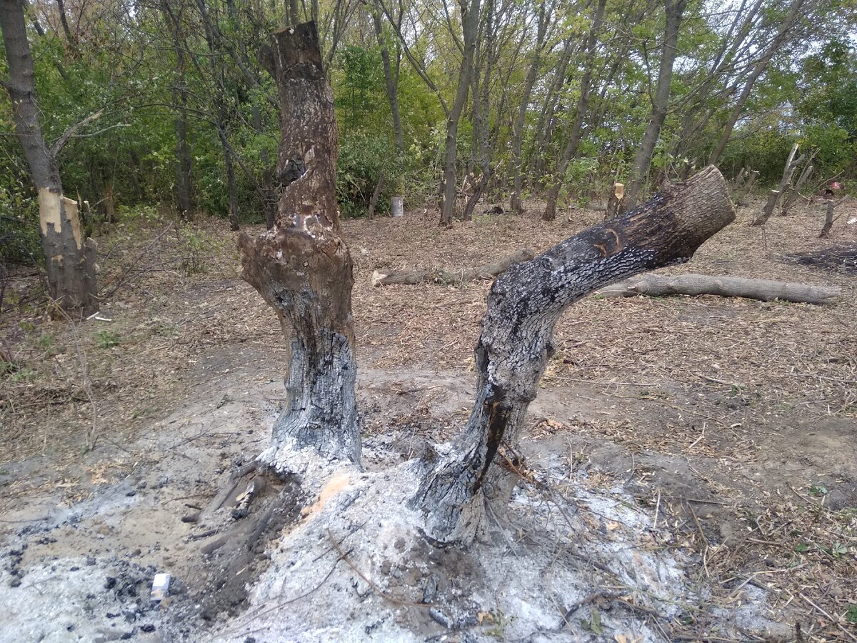 Я уже прикреплял эту фотографию к другой статье, возможно вы её уже видели