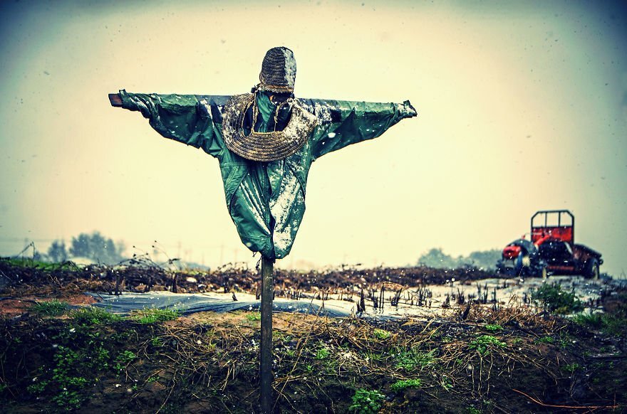 источник 1000prikolov.com