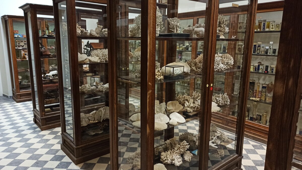 Зал с беспозвоночными