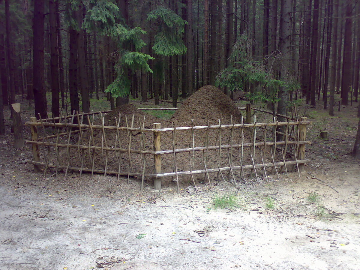 Из личного орхива