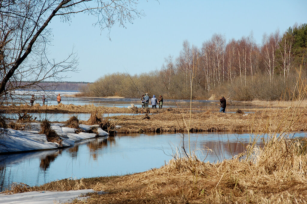 Рыбалка весной