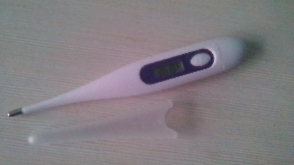 Фото автора. Фотография свежая, температура на ней 36.8. Побоялась совать градусник в горячую воду - а вдруг сломается. Градусники сейчас дорогие - 400 рублей...