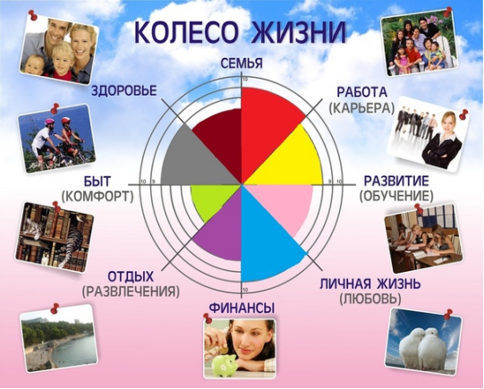 Фото взято из открытого источника интернета.