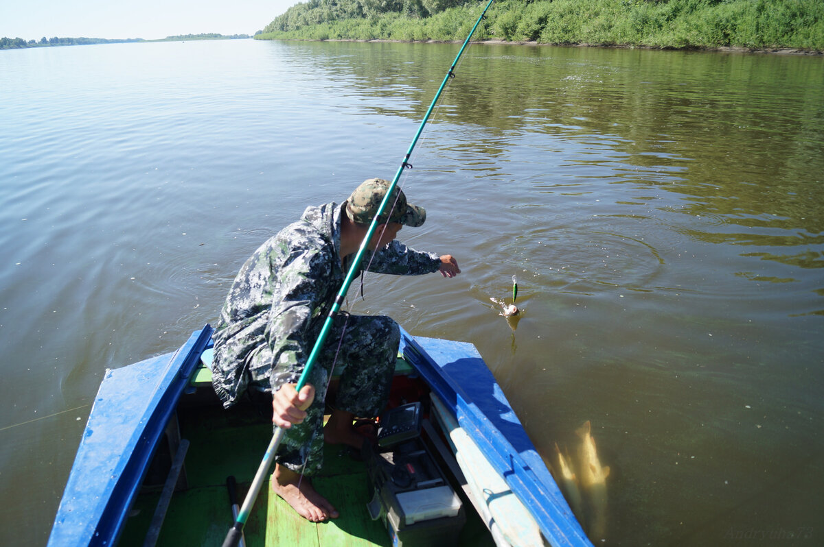 рыбалка 