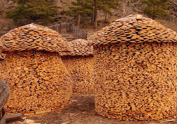 Как правильно хранить дрова: на улице без навеса и в доме